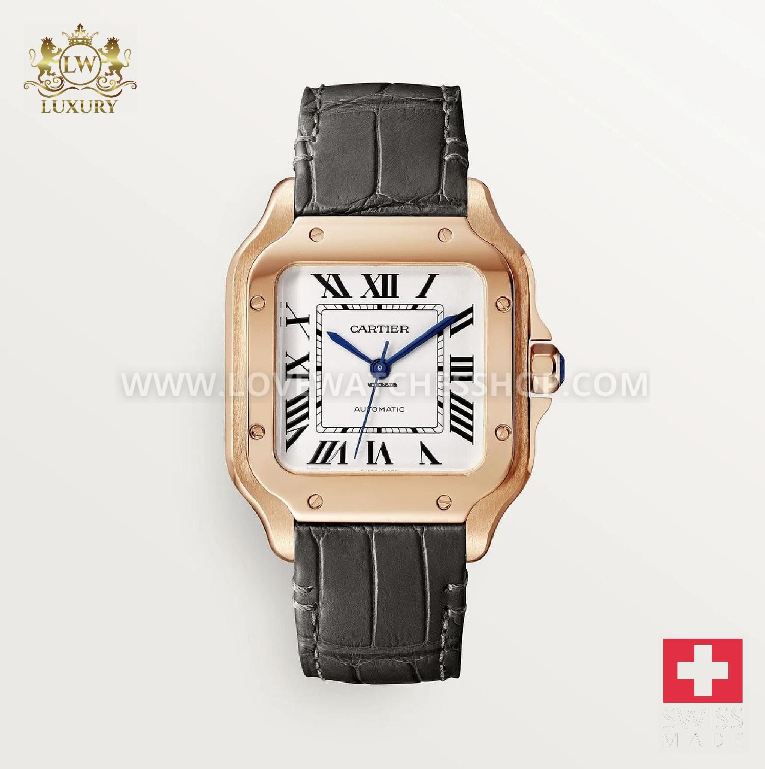 Cartier Santos De Cartier Medium Size