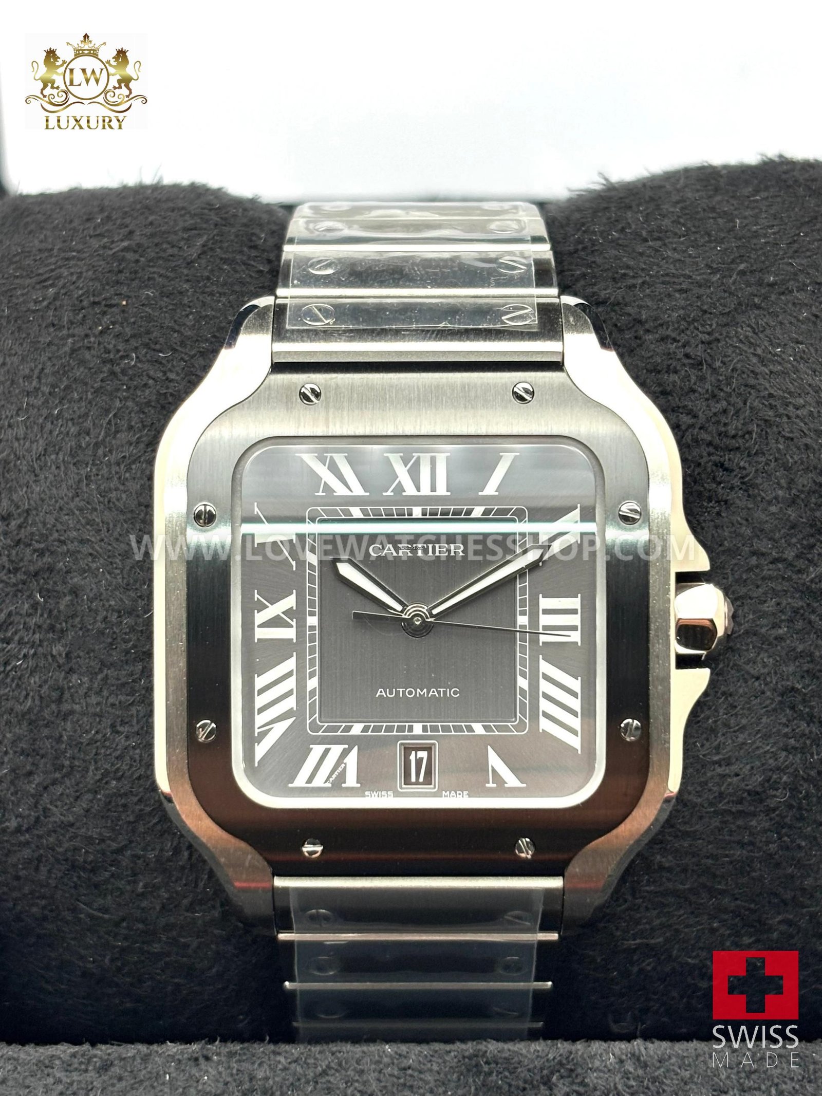 Cartier Santos Unworn Santos De Cartier Large Size 39.8mm Silver Dial WSSA0037 Box & Papers 2025